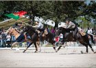 Pferd International 211